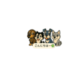 いつでもつかえるスタンプ（犬）3（個別スタンプ：19）