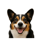 ハッピー顔（犬編） Part2（個別スタンプ：8）