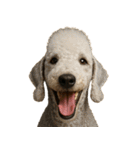 ハッピー顔（犬編） Part2（個別スタンプ：33）