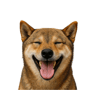 ハッピー顔（犬編） Part2（個別スタンプ：40）
