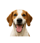 ハッピー顔（犬編） Part3（個別スタンプ：6）