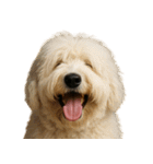ハッピー顔（犬編） Part3（個別スタンプ：10）