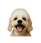 ハッピー顔（犬編） Part3（個別スタンプ：21）