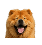 ハッピー顔（犬編） Part3（個別スタンプ：23）