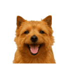 ハッピー顔（犬編） Part3（個別スタンプ：26）