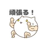 にゃんきち！一生使えるかわちい猫スタンプ（個別スタンプ：19）