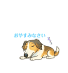 ボルゾイのいる暮らし（個別スタンプ：9）