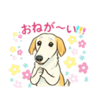 ボルゾイのいる暮らし（個別スタンプ：10）