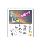 普通に使い倒せる写真スタンプ（個別スタンプ：3）