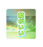 普通に使い倒せる写真スタンプ（個別スタンプ：4）