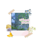 普通に使い倒せる写真スタンプ（個別スタンプ：5）