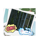 普通に使い倒せる写真スタンプ（個別スタンプ：16）