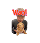 ペローん家#005（個別スタンプ：4）