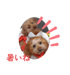 ni-na ③（個別スタンプ：3）