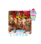 ni-na ③（個別スタンプ：5）
