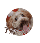 ni-na ③（個別スタンプ：6）