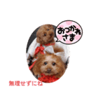 ni-na ③（個別スタンプ：10）