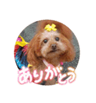 ni-na ③（個別スタンプ：11）