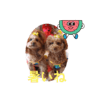 ni-na ③（個別スタンプ：14）