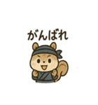 ゆる忍者リス ころころ忍法スタンプ（個別スタンプ：9）