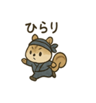 ゆる忍者リス ころころ忍法スタンプ（個別スタンプ：13）