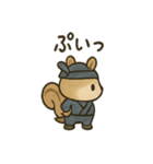 ゆる忍者リス ころころ忍法スタンプ（個別スタンプ：14）