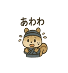 ゆる忍者リス ころころ忍法スタンプ（個別スタンプ：16）