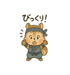 ゆる忍者リス ころころ忍法スタンプ（個別スタンプ：21）