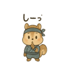 ゆる忍者リス ころころ忍法スタンプ（個別スタンプ：24）