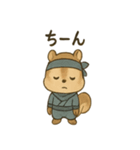 ゆる忍者リス ころころ忍法スタンプ（個別スタンプ：25）