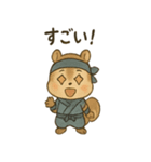 ゆる忍者リス ころころ忍法スタンプ（個別スタンプ：28）