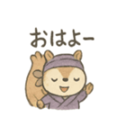 ゆる忍者リス ころころ忍法スタンプ（個別スタンプ：31）