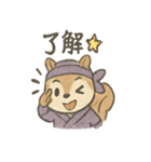 ゆる忍者リス ころころ忍法スタンプ（個別スタンプ：35）