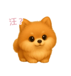 ふわかわ日和：ポメラニアン【台湾語】（個別スタンプ：1）