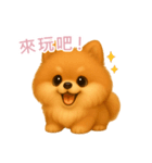 ふわかわ日和：ポメラニアン【台湾語】（個別スタンプ：2）