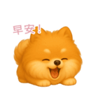ふわかわ日和：ポメラニアン【台湾語】（個別スタンプ：3）