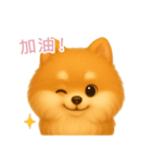 ふわかわ日和：ポメラニアン【台湾語】（個別スタンプ：5）