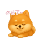 ふわかわ日和：ポメラニアン【台湾語】（個別スタンプ：6）