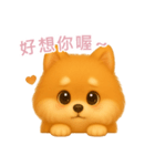 ふわかわ日和：ポメラニアン【台湾語】（個別スタンプ：7）