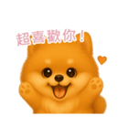 ふわかわ日和：ポメラニアン【台湾語】（個別スタンプ：8）