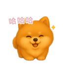 ふわかわ日和：ポメラニアン【台湾語】（個別スタンプ：11）