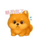 ふわかわ日和：ポメラニアン【台湾語】（個別スタンプ：12）