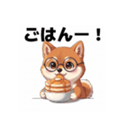 めがねわんこす（個別スタンプ：1）