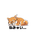 めがねわんこす（個別スタンプ：6）