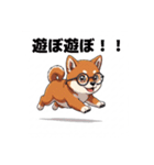 めがねわんこす（個別スタンプ：7）