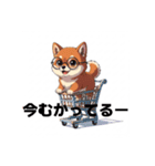 めがねわんこす（個別スタンプ：8）