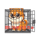 めがねわんこす（個別スタンプ：11）