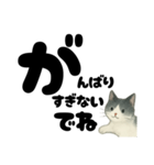 【やさしめ】白黒ねこの元気ことば（個別スタンプ：2）