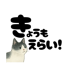 【やさしめ】白黒ねこの元気ことば（個別スタンプ：4）