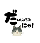 【やさしめ】白黒ねこの元気ことば（個別スタンプ：5）